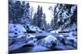Premium Photographic Print