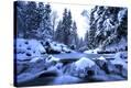 Stretched Canvas Print
