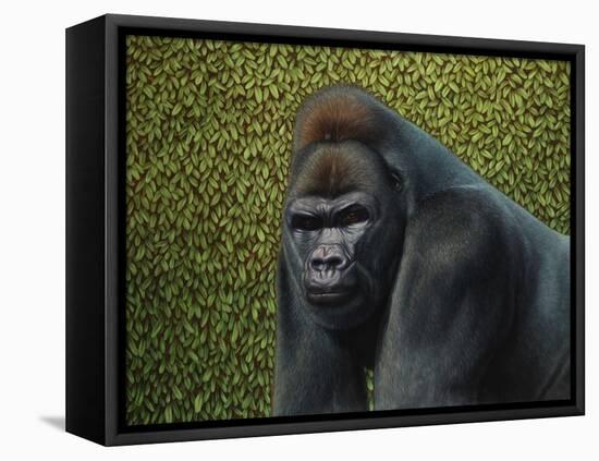 Gorilla with a Hedge-James W. Johnson-Framed Premier Image Canvas