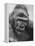 Gorilla-Nina Leen-Framed Premier Image Canvas