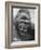 Gorilla-Nina Leen-Framed Photographic Print