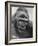 Gorilla-Nina Leen-Framed Photographic Print