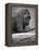 Gorilla-null-Framed Premier Image Canvas