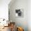 Gorilla-Sam Dunton-Framed Premier Image Canvas displayed on a wall