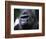 Gorilla-null-Framed Photographic Print