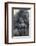 Gorilla-DLILLC-Framed Photographic Print