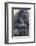 Gorilla-DLILLC-Framed Photographic Print