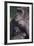 Gorilla-DLILLC-Framed Photographic Print