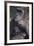 Gorilla-DLILLC-Framed Photographic Print