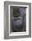 Gorilla-DLILLC-Framed Photographic Print