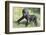 Gorilla-DLILLC-Framed Photographic Print