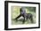 Gorilla-DLILLC-Framed Photographic Print