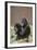 Gorilla-DLILLC-Framed Photographic Print