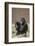 Gorilla-DLILLC-Framed Photographic Print