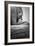 Gorilla-null-Framed Photographic Print