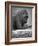 Gorilla-null-Framed Photographic Print