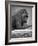 Gorilla-null-Framed Photographic Print