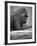 Gorilla-null-Framed Photographic Print