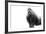 Gorilla-null-Framed Photographic Print