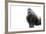 Gorilla-null-Framed Photographic Print