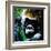 Gorilla-null-Framed Art Print