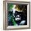 Gorilla-null-Framed Premium Giclee Print