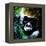 Gorilla-null-Framed Stretched Canvas