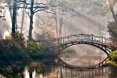 Old Bridge in Autumn Misty Park - HDR-gorillaimages-Premier Image Canvas