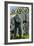 Gorillas in Forest - Visit the Zoo-Lantern Press-Framed Art Print