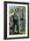 Gorillas in Forest - Visit the Zoo-Lantern Press-Framed Art Print