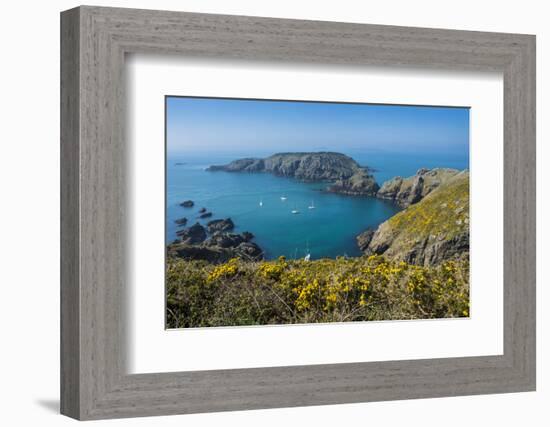 Gorse Blooming on the West of Coast of Sark with a View of the Island of Brecqhou-Michael Runkel-Framed Photographic Print