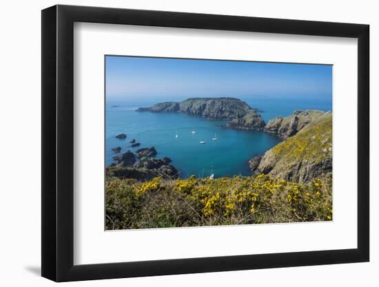 Gorse Blooming on the West of Coast of Sark with a View of the Island of Brecqhou-Michael Runkel-Framed Photographic Print