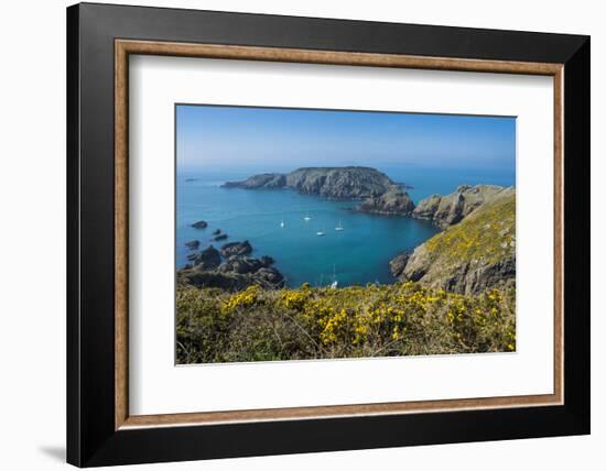 Gorse Blooming on the West of Coast of Sark with a View of the Island of Brecqhou-Michael Runkel-Framed Photographic Print