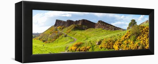 Gorse Bushes Growing on Arthur's Seat, Edinburgh, Scotland-null-Framed Stretched Canvas