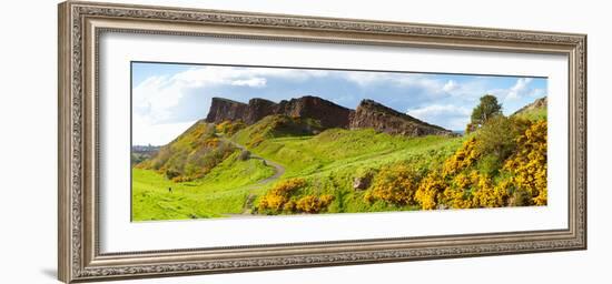 Gorse Bushes Growing on Arthur's Seat, Edinburgh, Scotland-null-Framed Photographic Print