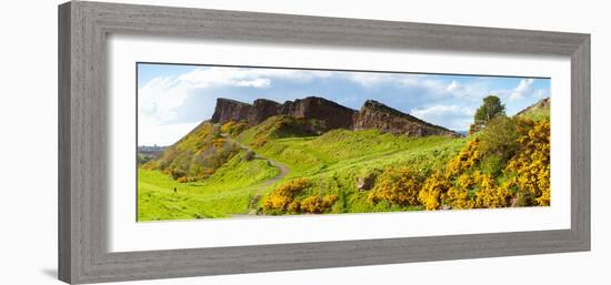 Gorse Bushes Growing on Arthur's Seat, Edinburgh, Scotland-null-Framed Photographic Print