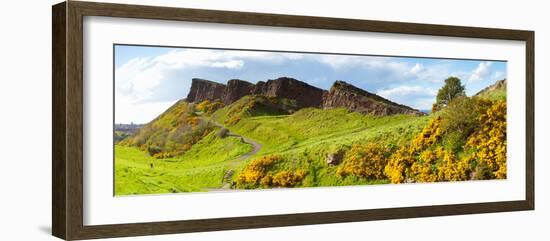 Gorse Bushes Growing on Arthur's Seat, Edinburgh, Scotland-null-Framed Photographic Print