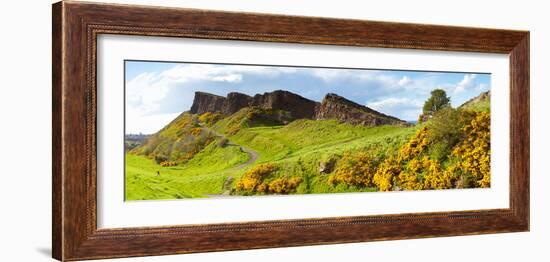 Gorse Bushes Growing on Arthur's Seat, Edinburgh, Scotland-null-Framed Photographic Print