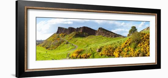 Gorse Bushes Growing on Arthur's Seat, Edinburgh, Scotland-null-Framed Photographic Print