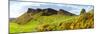 Gorse Bushes Growing on Arthur's Seat, Edinburgh, Scotland-null-Mounted Photographic Print