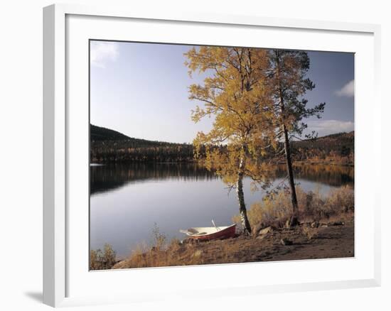 Gorse, Calycotome Villosa-Thonig-Framed Photographic Print