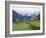 Gosau, Austria-Adam Woolfitt-Framed Photographic Print