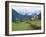 Gosau, Austria-Adam Woolfitt-Framed Photographic Print