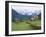 Gosau, Austria-Adam Woolfitt-Framed Photographic Print