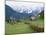 Gosau, Austria-Adam Woolfitt-Mounted Photographic Print