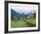 Gosau, Austria-Adam Woolfitt-Framed Photographic Print