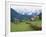 Gosau, Austria-Adam Woolfitt-Framed Photographic Print