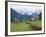 Gosau, Austria-Adam Woolfitt-Framed Photographic Print