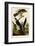 Goshawk and Stanley Hawk-John James Audubon-Framed Art Print