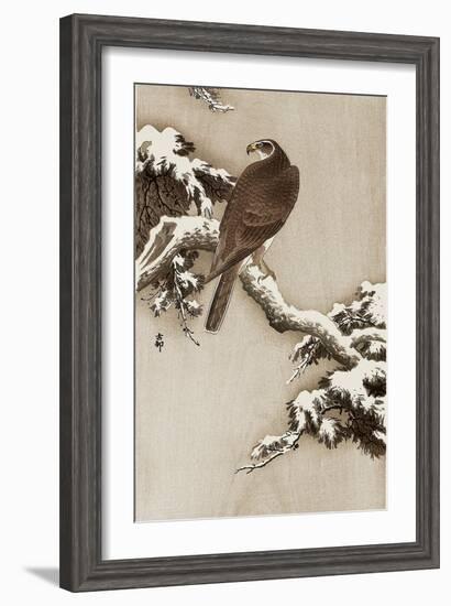 Goshawk on a Snow Covered Pine Branch-Koson Ohara-Framed Giclee Print